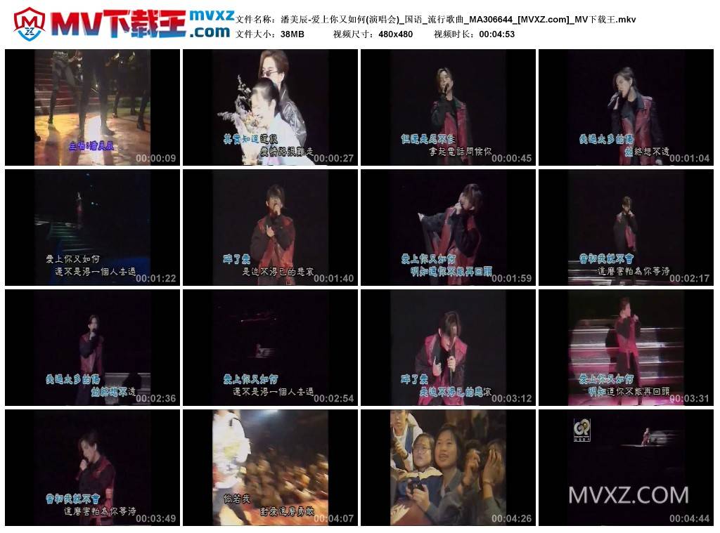 潘美辰-爱上你又如何(演唱会)_国语_流行歌曲_MA306644